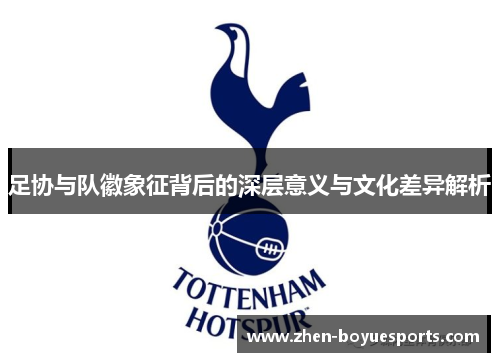 足协与队徽象征背后的深层意义与文化差异解析